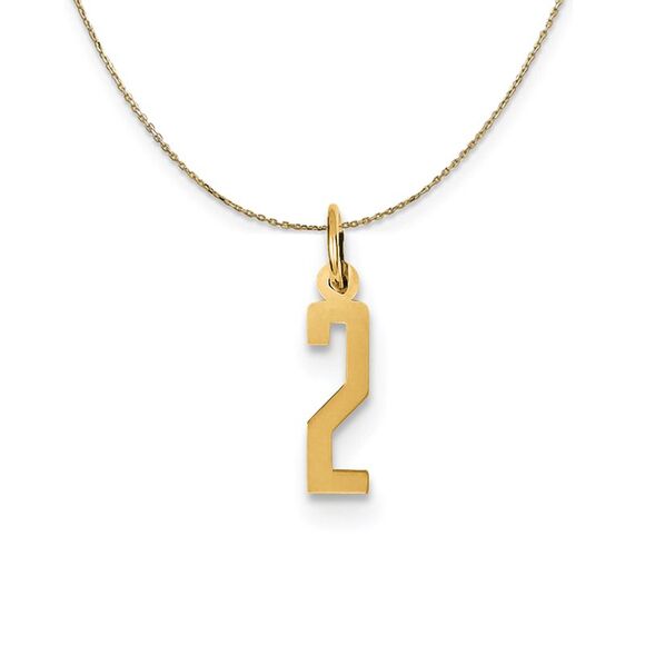 14k Yellow Gold, Alumni Small Elongated Number 2 Necklace - 24 Inch - Picture 1 of 7